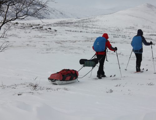 Wintertraining Laponia Northern Winter Trail